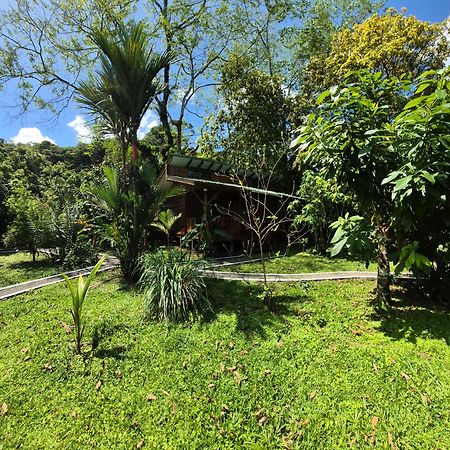 Bed and Breakfast Centro Ananda Guápiles Zewnętrze zdjęcie