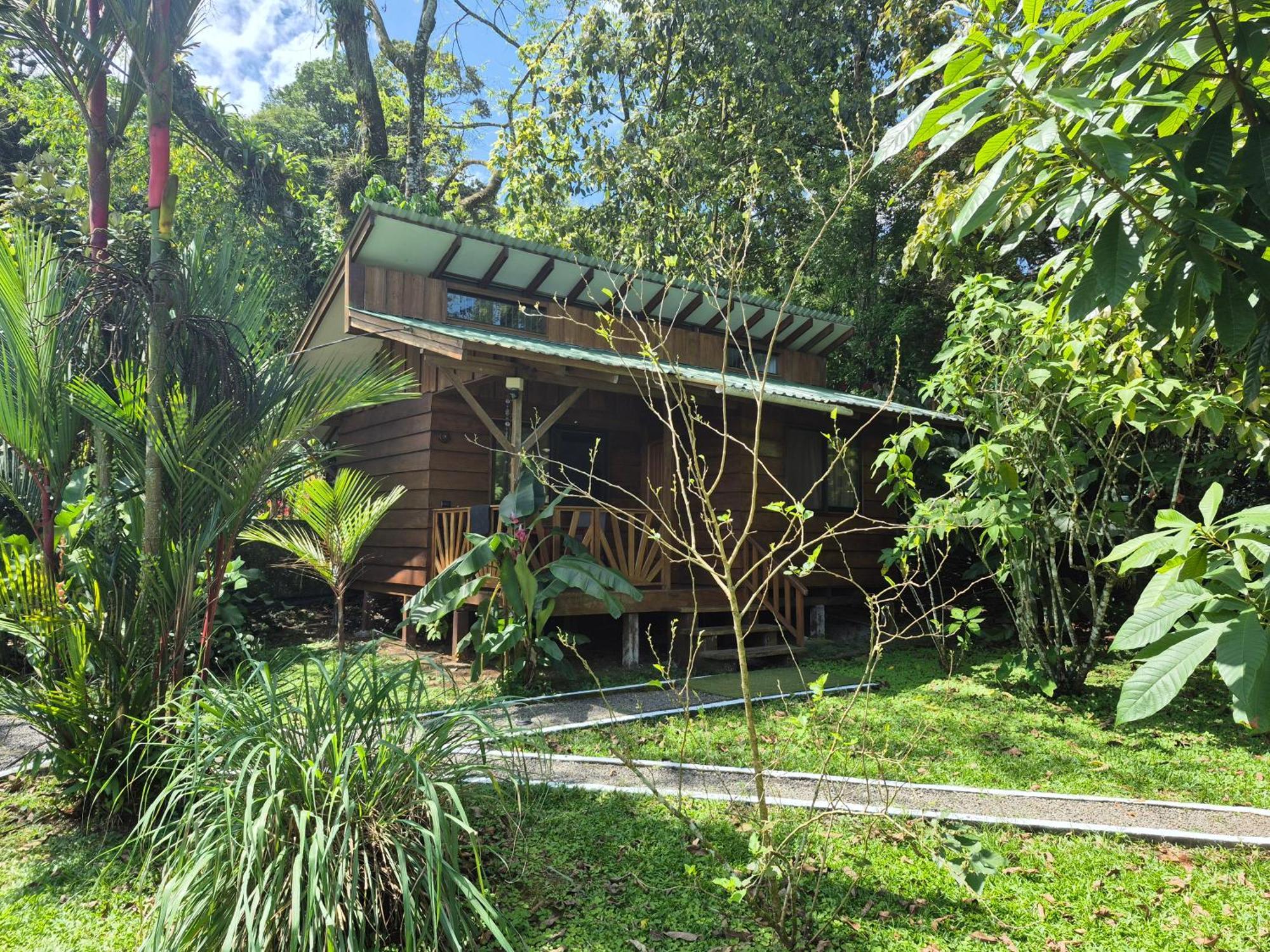Bed and Breakfast Centro Ananda Guápiles Zewnętrze zdjęcie