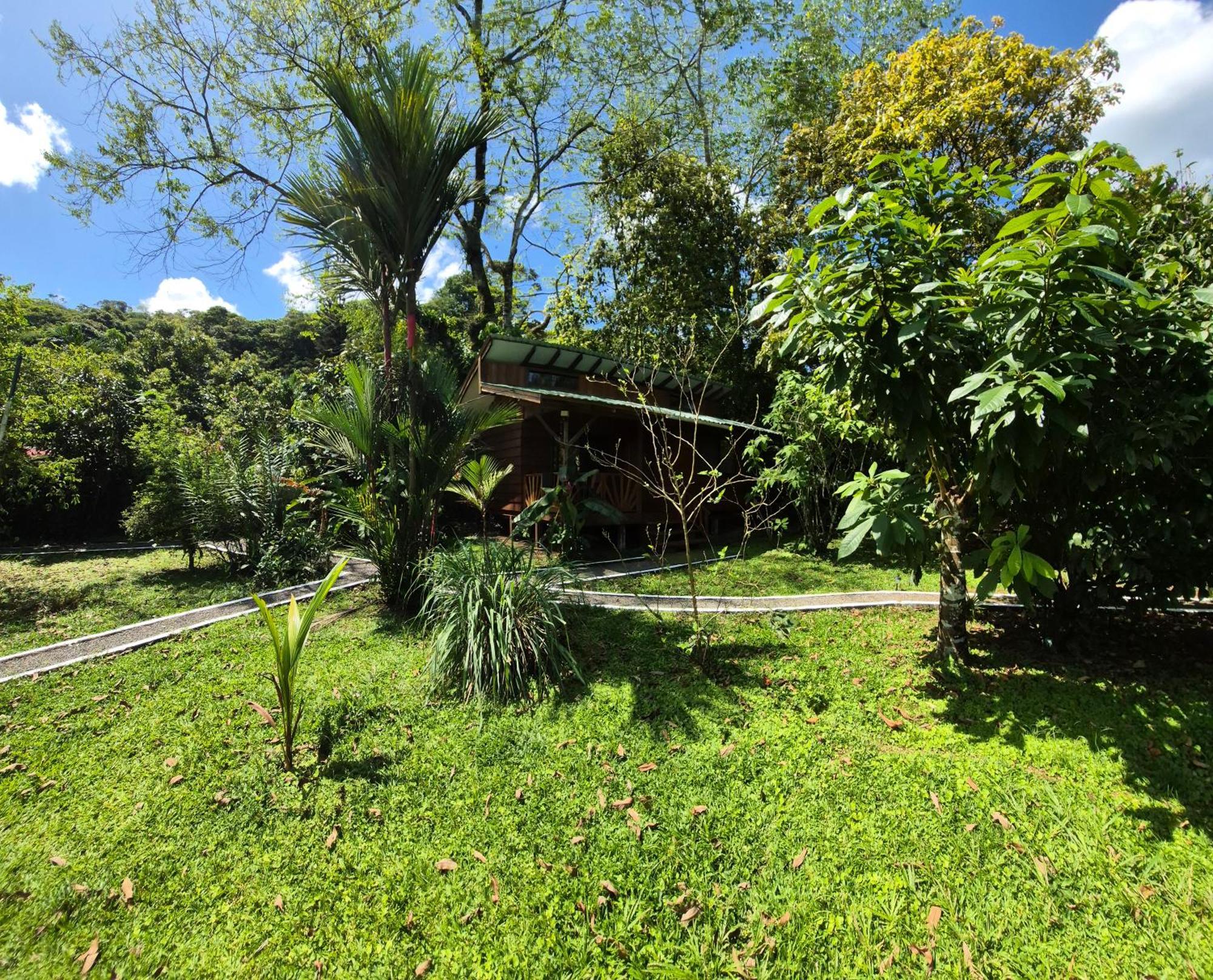 Bed and Breakfast Centro Ananda Guápiles Zewnętrze zdjęcie
