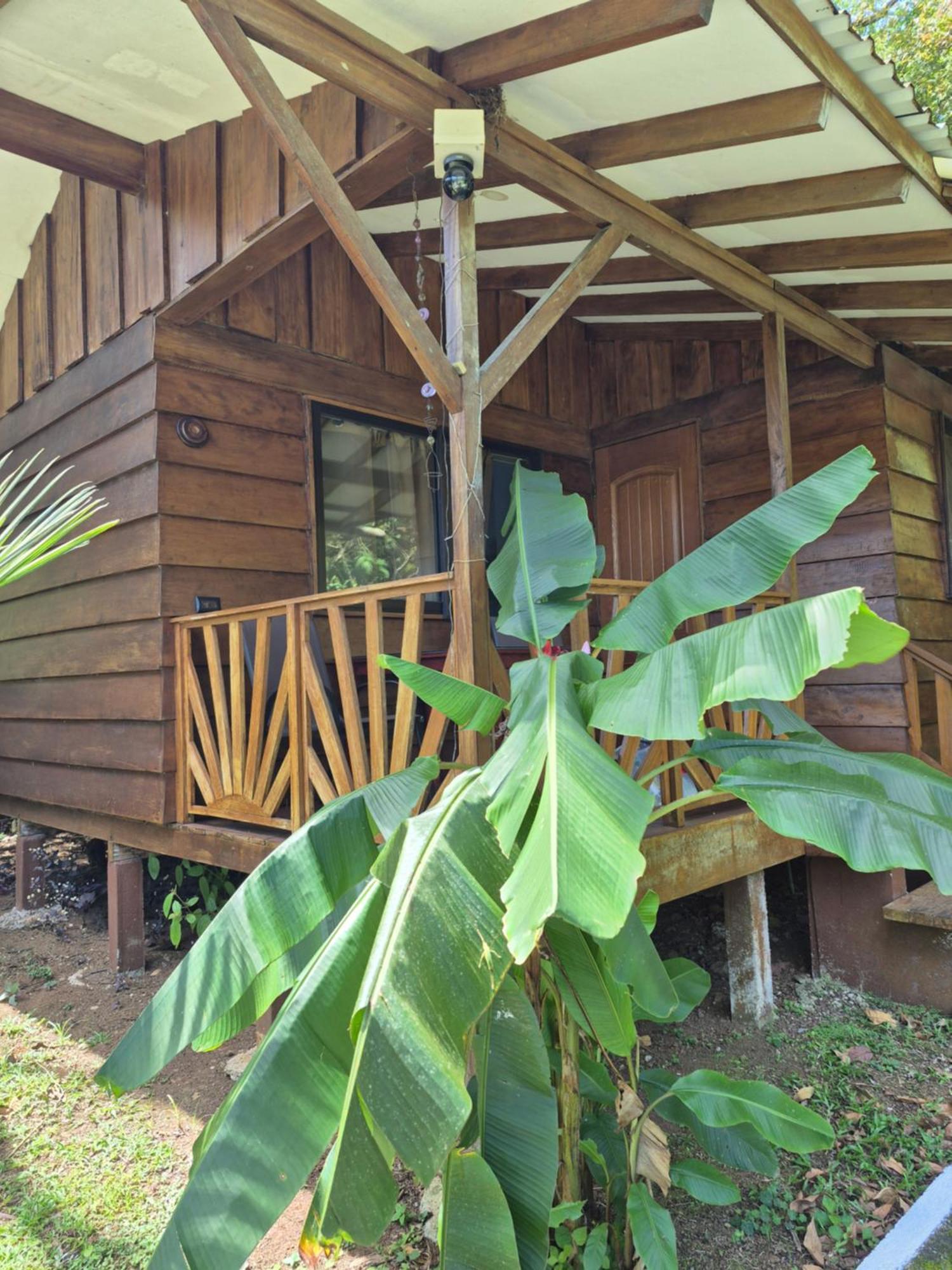 Bed and Breakfast Centro Ananda Guápiles Zewnętrze zdjęcie