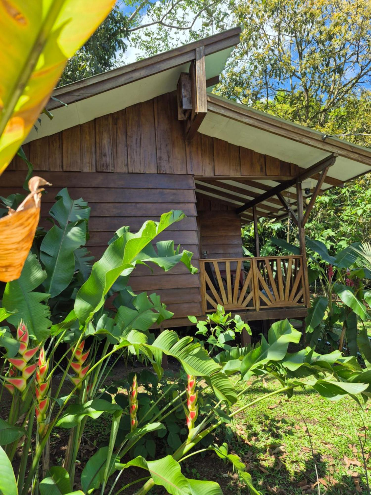 Bed and Breakfast Centro Ananda Guápiles Zewnętrze zdjęcie